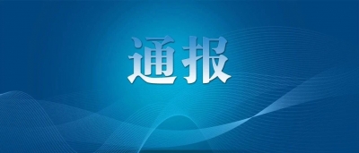 中央纪委国家监委公开通报十起违反中央八项规定精神典型问题