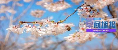 早间播报【2023年4月6日】