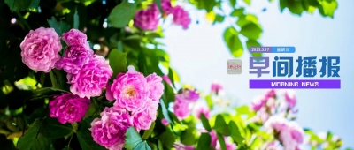 早间播报【2023年5月17日】