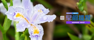 早间播报【2023年5月11日】