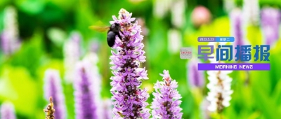 早间播报【2023年5月23日】