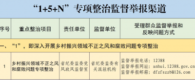 省纪委监委公布深入开展群众身边不正之风和腐败问题“1+5+N”专项整治监督举报方式