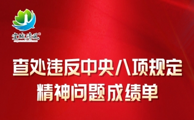 安庆：图解2023年1-6月查处违反中央八项规定精神问题“成绩单”