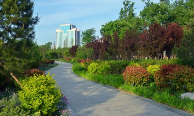 【中国纪检监察报】安徽开展城市绿化工程领域腐败问题专项整治 清除花叶背后“蛀虫”   