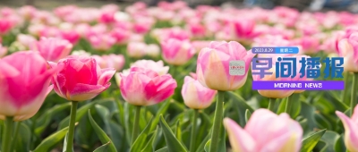 早间播报【2023年8月29日】