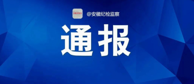 中央纪委国家监委公开通报七起违反中央八项规定精神典型问题