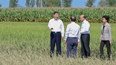 习近平在黑龙江尚志市看望慰问受灾群众