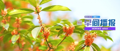 早间播报【2023年10月31日】