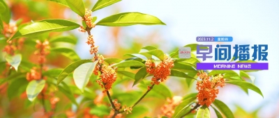 早间播报【2023年11月2日】
