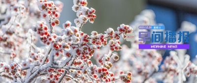 早间播报【2023年12月20日】