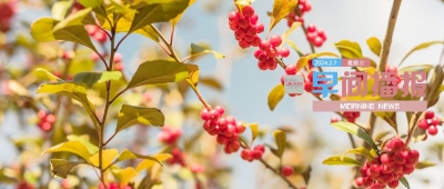 早间播报【2024年2月7日】