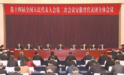 安徽代表团举行全体会议 审议政府工作报告