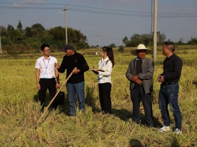有双眼睛紧盯农田中的腐败