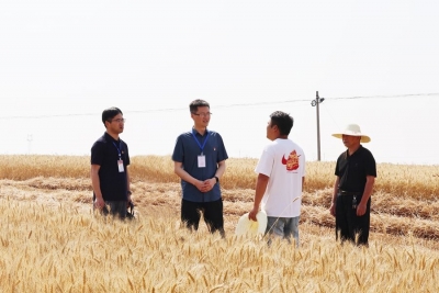 办案就要动真碰硬——记安徽省五河县纪委常委、监委委员胡松