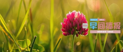 早间播报【2024年6月21日】