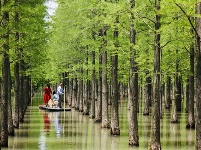 镜头 | 大美五月