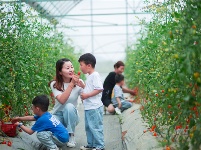 镜头 | 大美五月