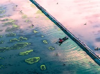 镜头 | 大美五月