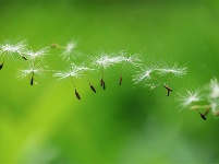 镜头 | 大美五月