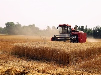 镜头 | 大美五月