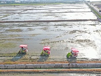 鏡頭 | 日影短至 盛夏始長
