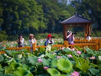 鏡頭 | 日影短至 盛夏始長