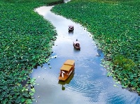 鏡頭 | 日影短至 盛夏始長