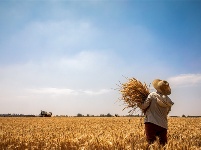 鏡頭 | 日影短至 盛夏始長