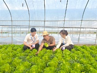 镜头 | 精准监督护民生