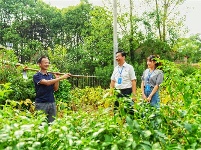 镜头 | 精准监督护民生