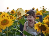 鏡頭 | 日影短至 盛夏始長