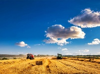 鏡頭 | 日影短至 盛夏始長