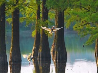 鏡頭 | 日影短至 盛夏始長