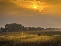 鏡頭 | 日影短至 盛夏始長