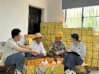 镜头 | 精准监督护民生