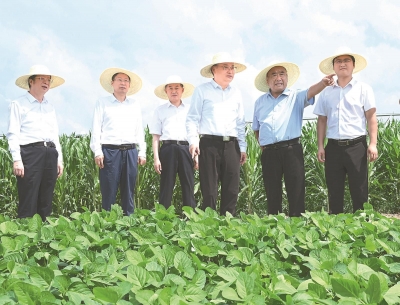 梁言顺在阜阳市调研时强调  坚持多种粮种好粮全力保障国家粮食安全 加快皖北地区全面振兴步伐