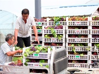 镜头 | 离离暑云散 袅袅凉风起