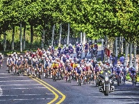 镜头 | 运动正当时