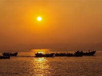 镜头 | 离离暑云散 袅袅凉风起