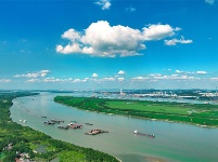 鏡頭 | 大美八月