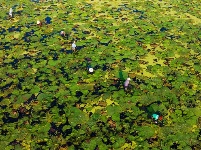 鏡頭 | 大美八月