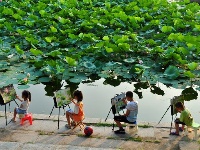 镜头 | 离离暑云散 袅袅凉风起