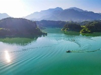 鏡頭 | 大美八月