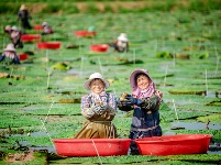 镜头 | 离离暑云散 袅袅凉风起