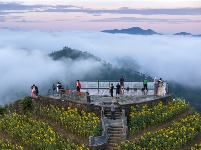 鏡頭 | 大美八月