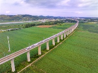 鏡頭 | 大美八月