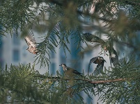 镜头 | 离离暑云散 袅袅凉风起