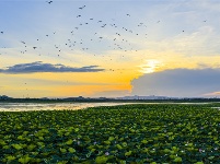 鏡頭 | 大美八月