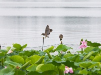 鏡頭 | 大美八月