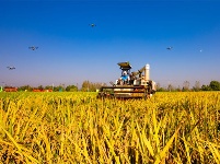 鏡頭 | 大美八月